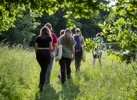 A group of young people walking through a reserve on a sunny day. 