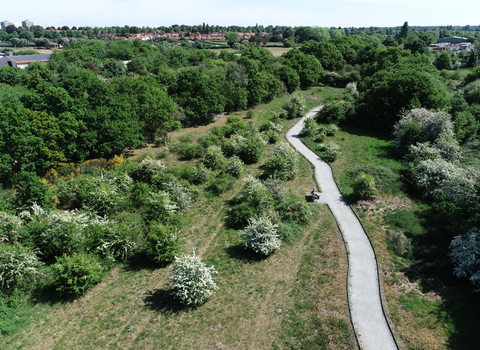 An aerial image of Sweet Briar Marshes with lots of lush green trees and a long accessible path running through it. 