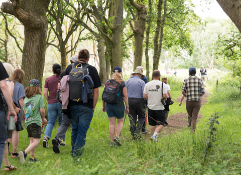 a group of people walking through a wooded area