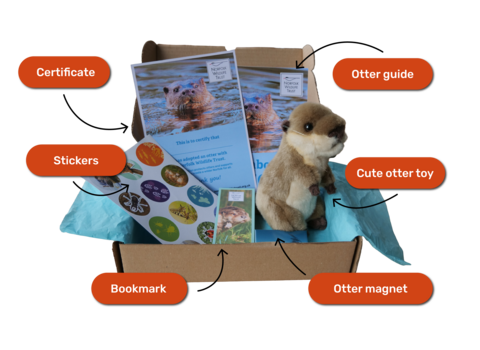 The contents of an otter adoption: bookmark, otter guide, otter soft toy, stickers, certificate and magnet
