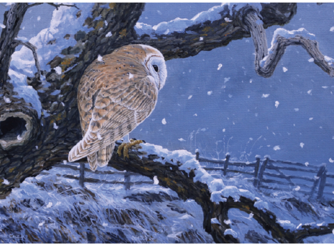 A painting of a barn owl in the snow