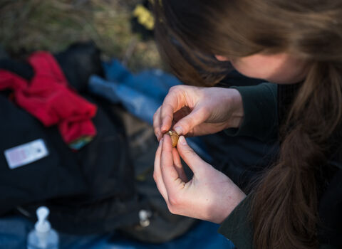 A close up of a young woman examining an acorn in her hands.