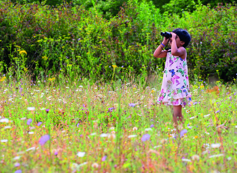 A little girl in a frilly summer dress peering through binoculars in a blooming meadow