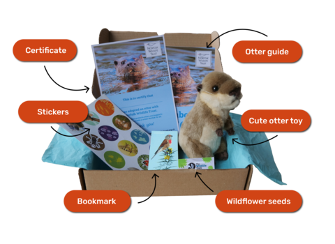 The contents of an otter adoption: bookmark, otter guide, otter soft toy, stickers, certificate and wildflower seeds