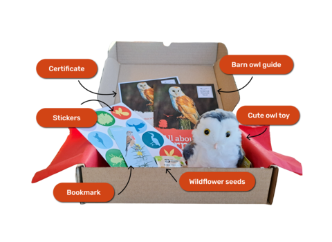 A gift box displays a certificate, barn owl guide, stickers, wildflower seeds, bookmark and barn owl soft toy