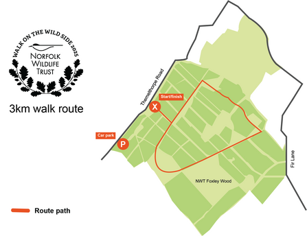 A map showing the 3km route around Foxley Wood